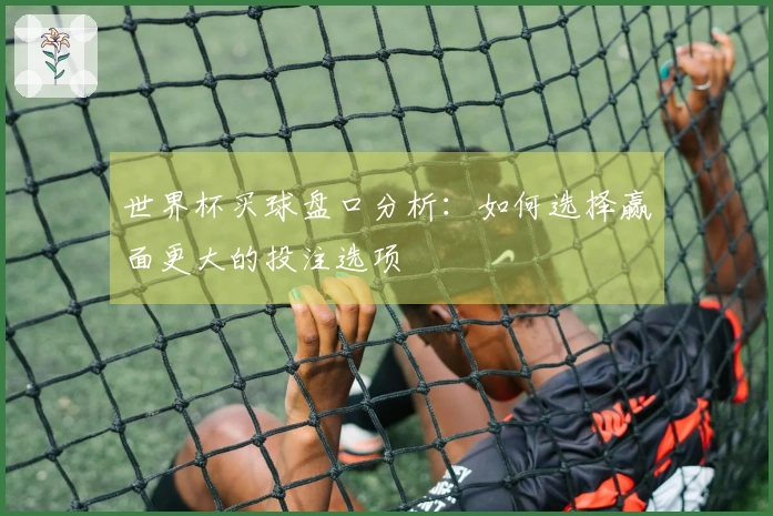 世界杯买球盘口分析：如何选择赢面更大的投注选项
