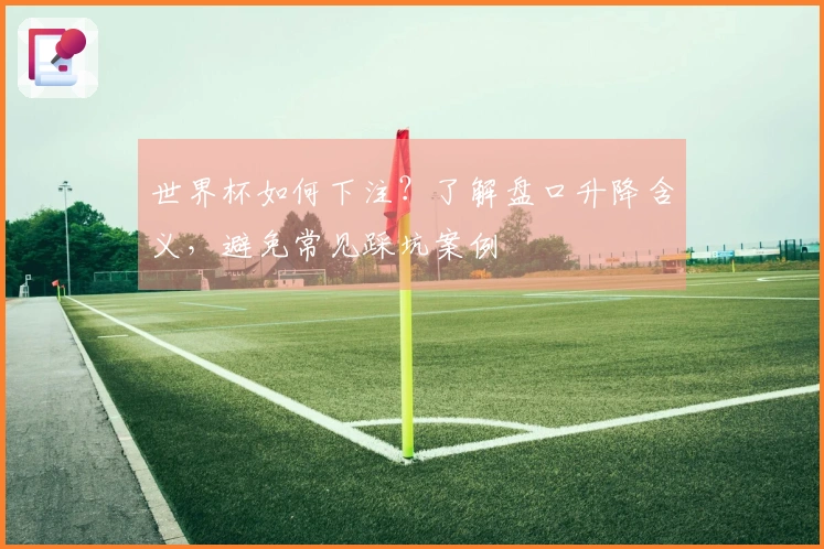 世界杯如何下注?了解盘口升降含义,避免常见踩坑案例