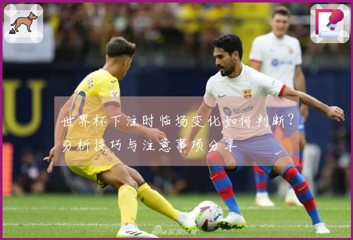 世界杯下注时临场变化如何判断？分析技巧与注意事项分享