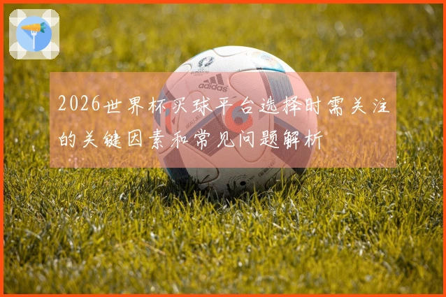2026世界杯买球平台选择时需关注的关键因素和常见问题解析