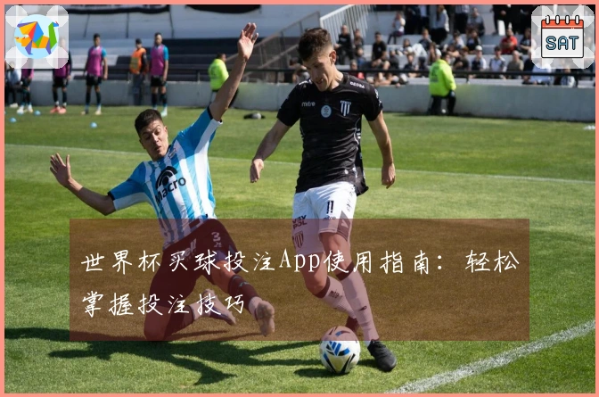 世界杯买球投注App使用指南：轻松掌握投注技巧