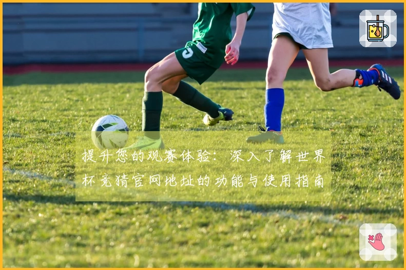 提升您的观赛体验：深入了解世界杯竞猜官网地址的功能与使用指南