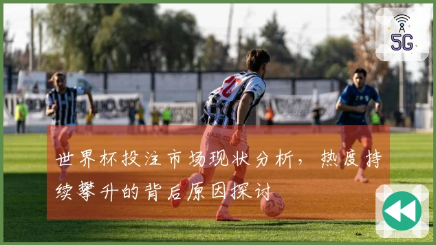 世界杯投注市场现状分析，热度持续攀升的背后原因探讨