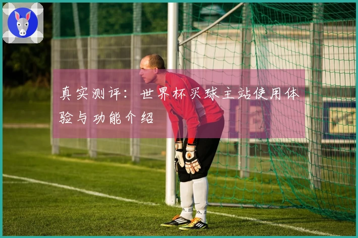 真实测评：世界杯买球主站使用体验与功能介绍
