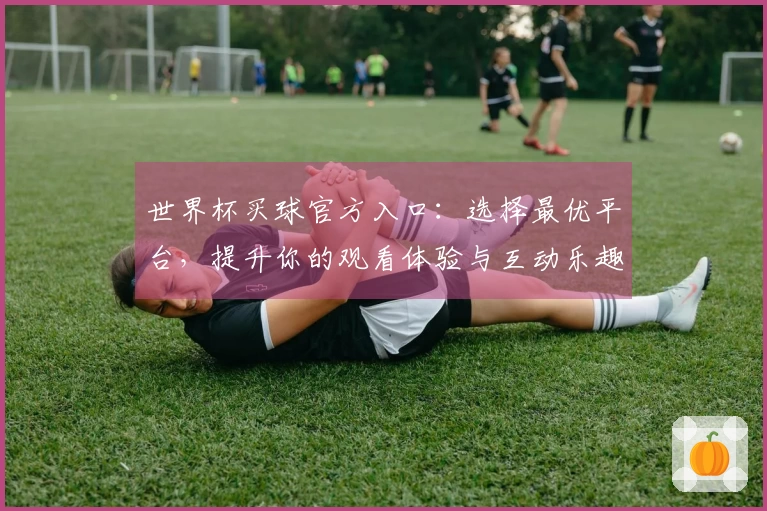 世界杯买球官方入口：选择最优平台，提升你的观看体验与互动乐趣