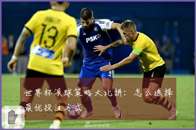 世界杯滚球策略大比拼：怎么选择最优投注方式