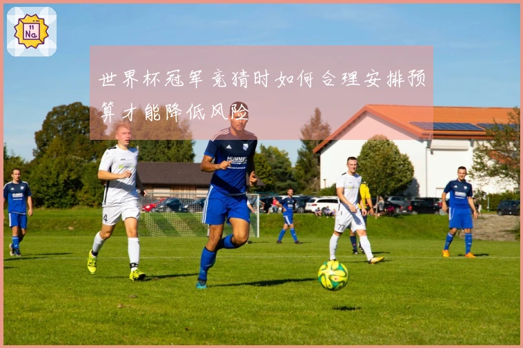 世界杯冠军竞猜时如何合理安排预算才能降低风险