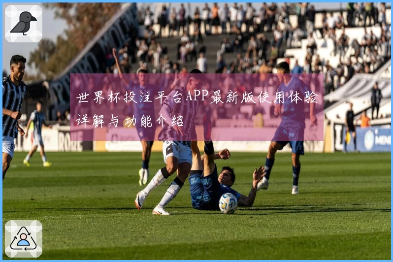 世界杯投注平台APP最新版使用体验详解与功能介绍