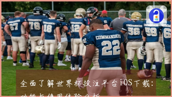 全面了解世界杯投注平台iOS下载：功能与使用体验分析