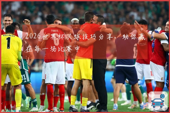 2026世界杯买球技巧分享，助你赢在每一场比赛中
