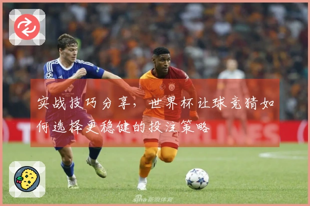 实战技巧分享,世界杯让球竞猜如何选择更稳健的投注策略