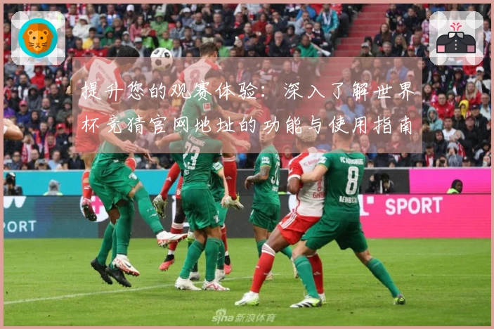 提升您的观赛体验：深入了解世界杯竞猜官网地址的功能与使用指南