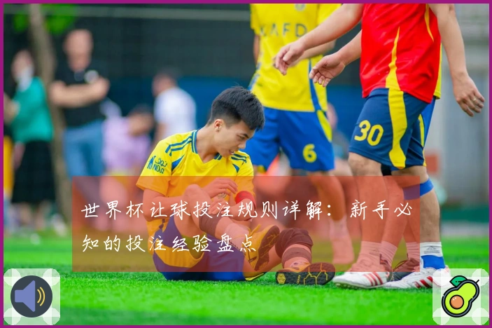 世界杯让球投注规则详解：新手必知的投注经验盘点