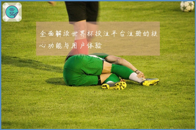 全面解读世界杯投注平台注册的核心功能与用户体验