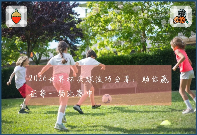 2026世界杯买球技巧分享，助你赢在每一场比赛中
