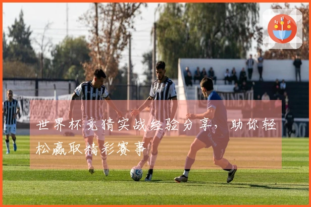 世界杯竞猜实战经验分享，助你轻松赢取精彩赛事